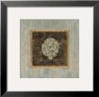 Artichoke by Stephanie Marrott Limited Edition Pricing Art Print