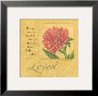 Loved, Peony by Stephanie Marrott Limited Edition Pricing Art Print