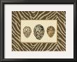 Speckeled Variety Ii by Henry Adams Limited Edition Print