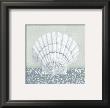 Coastal Cottage Shell I by Krissi Limited Edition Print