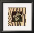 Paperwhites I by Stephanie Marrott Limited Edition Print