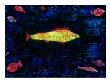 The Goldfish, 1925 by Paul Klee Limited Edition Print