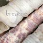 Breathe by Nicole Katano Limited Edition Print