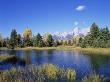 Snake River And Autumn Woodland, With Grand Tetons Behind, Grand Teton National Park, Wyoming, Usa by Pete Cairns Limited Edition Print