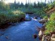 A Stream At Dawn, Kuznetsky Alatau Zapovednik, Russia by Igor Shpilenok Limited Edition Print