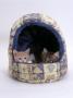 Domestic Cat, Two Kittens In Igloo Bed by Jane Burton Limited Edition Print