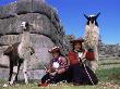 Local Indian Women With Domestic Llamas, Sacsayhumman, Cusco, Peru, South America by Pete Oxford Limited Edition Print