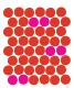 Red Pink Dots by Avalisa Limited Edition Print