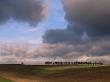 Clouds Over Cultivated South Downs, Hampshire, With A Line Of Trees On The Horizon by Adam Burton Limited Edition Pricing Art Print