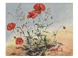 The Elf And The Poppy by Eileen Soper Limited Edition Print