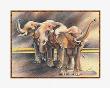 Family Of Elephants by Nancy Azneer Limited Edition Pricing Art Print