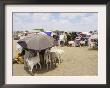 Somaliland Women With Their Goats Protect Themselves From Hot Sun With Umbrellas by Sayyid Azim Limited Edition Print