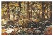 Sunlit Forest, Yosemite by Jerome Grimmer Limited Edition Print