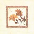 Leaf Study I by Tina Chaden Limited Edition Print