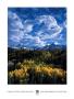 Peaks In Mount Sneffels Wilderness by Carr Clifton Limited Edition Print