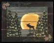 Moonlight Moose by Susan Clickner Limited Edition Print