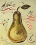 Poire I by Susan Gillette Limited Edition Print