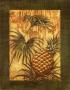 Pineapple Jungle by Tina Chaden Limited Edition Print