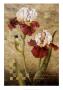 Grand Irises by Fangyu Meng Limited Edition Pricing Art Print