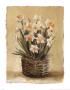 Potted Daffodils by Marilyn Hageman Limited Edition Print