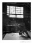 Lifer - Artist Jackson Pollock, 1949 by Martha Holmes Limited Edition Pricing Art Print