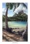 Backside Lagoon by Phil Roberts Limited Edition Print