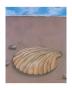 Sand, Shell And Sky Lv by Phyl Schock Limited Edition Print