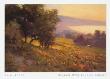 Meadow Over La Jolla Shores by Brian Blood Limited Edition Print