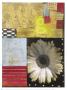 Floral Vision I by Minkist Zelda Limited Edition Pricing Art Print