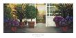 Potted Garden by Montserrat Masdeu Limited Edition Pricing Art Print