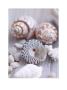 Shells And Pebbles by Lauren Floodgate Limited Edition Pricing Art Print