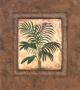 Moroccan Palm by Merri Pattinian Limited Edition Pricing Art Print