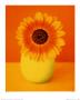 Sunny Day by Masao Ota Limited Edition Print