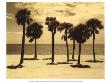 Key Biscayne Ii by Dennis Kelly Limited Edition Print