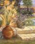 Tuscan Serenity I by Valerie Freeman Limited Edition Print