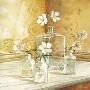 White Flowers And Bottles Ii by Karin Valk Limited Edition Print
