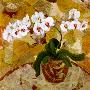 Sandalwood Phalie by Elizabeth Van Riper Limited Edition Pricing Art Print