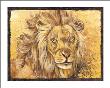 Lion Portrait by Philippe Genevrey Limited Edition Print