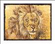 Lion Portrait by Philippe Genevrey Limited Edition Pricing Art Print