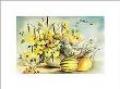 Garden Warbler by Jan Kooistra Limited Edition Pricing Art Print