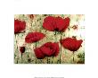 Poppies Iv by Dana Del Castillo Limited Edition Pricing Art Print