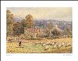 Pathway To The Water Meadows by Myles Birket Foster Limited Edition Print