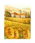 Campo Di Girasoli by Svetlana Limited Edition Pricing Art Print