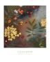 Gardens In The Mist I by Aleah Koury Limited Edition Print