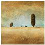 Sandy Plains by Chris Hill Limited Edition Pricing Art Print