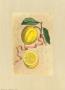 Baroque Lemons by Giovanni Ferrari Limited Edition Pricing Art Print
