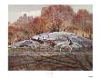 Cycling In The Park by James R. Colway Limited Edition Print