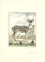 Stag Ii by Georges-Louis Buffon Limited Edition Pricing Art Print