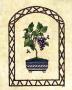 Grape Topiary by Jennifer Blume Limited Edition Pricing Art Print