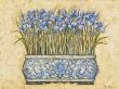 Blue Irises by Eva Misa Limited Edition Pricing Art Print